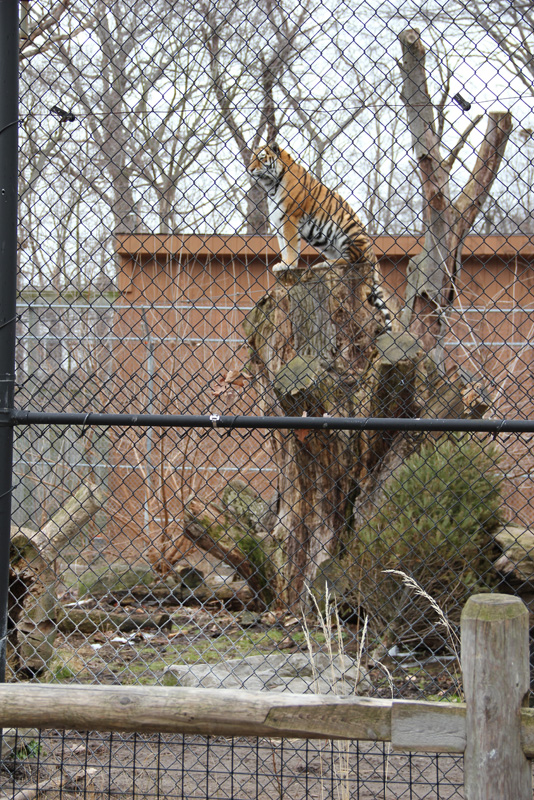 slideshow